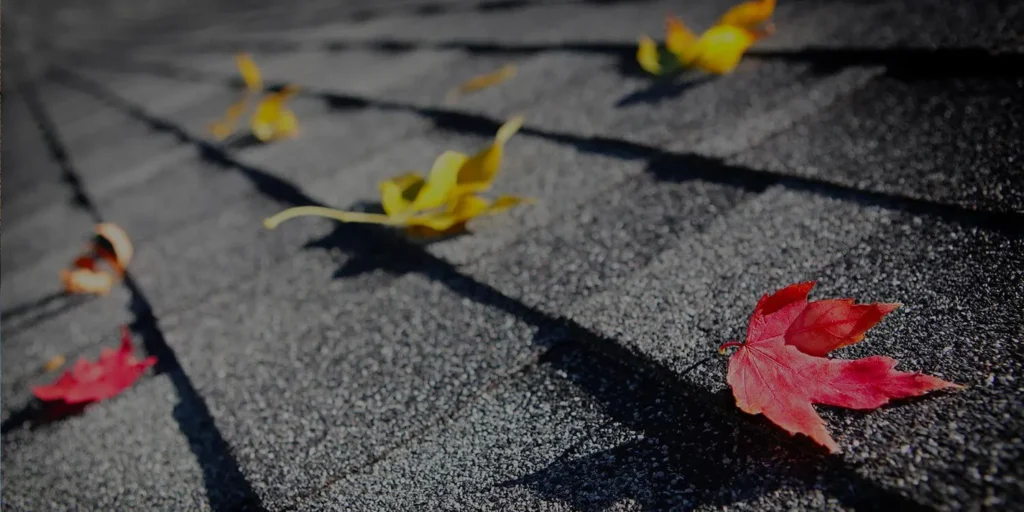 Roof Replacement during Fall